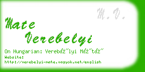 mate verebelyi business card